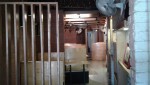 More Images