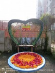 More Images