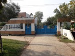 More Images